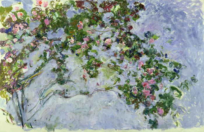 MMT 161014
                                                        The Roses, 1925-26 (oil on canvas)
                                                        Monet, Claude (1840-1926)
                                                        MUSEE MARMOTTAN MONET, PARIS, ,